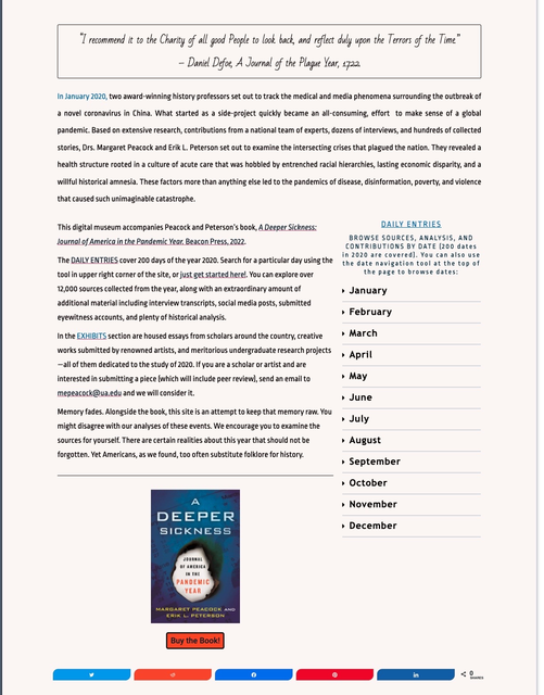 A Deeper Sickness: Journal of America in the Pandemic Year Screenshot 3