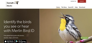 Home page screenshot