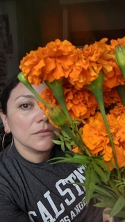 Cover of cempasúchil // marigold.