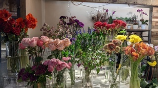 Cover of floreciendo // blooming.