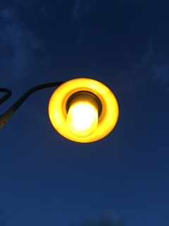 Cover of Project White Paper