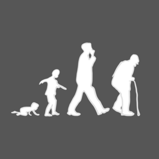 Cover of Creating Active and Meaningful Learning through a Renewable Assignment: A Case Study in a Human Growth Development Psychology Course