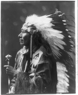 Cover of Standing Bear