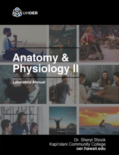 Cover of Anatomy and Physiology 2, Lab Manual