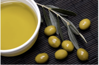 Cover of Sources For Kislev Exodus 27:20 In Progress