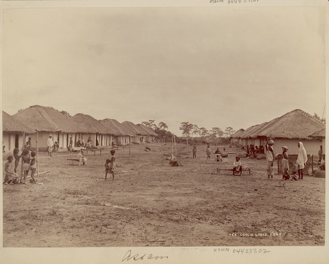 Empty field with a row of large huts on each side as people sit and walk between them.