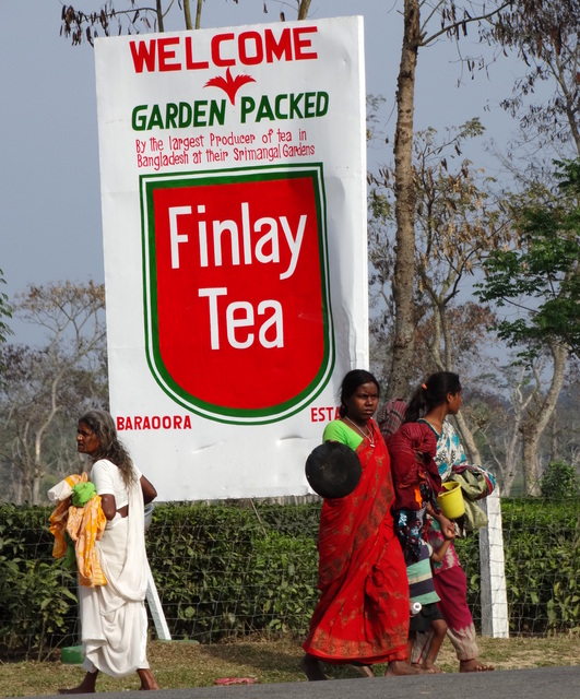 Three women stand in front of a sign that reads "Finley Tea," welcoming visitors to the tea estate. 