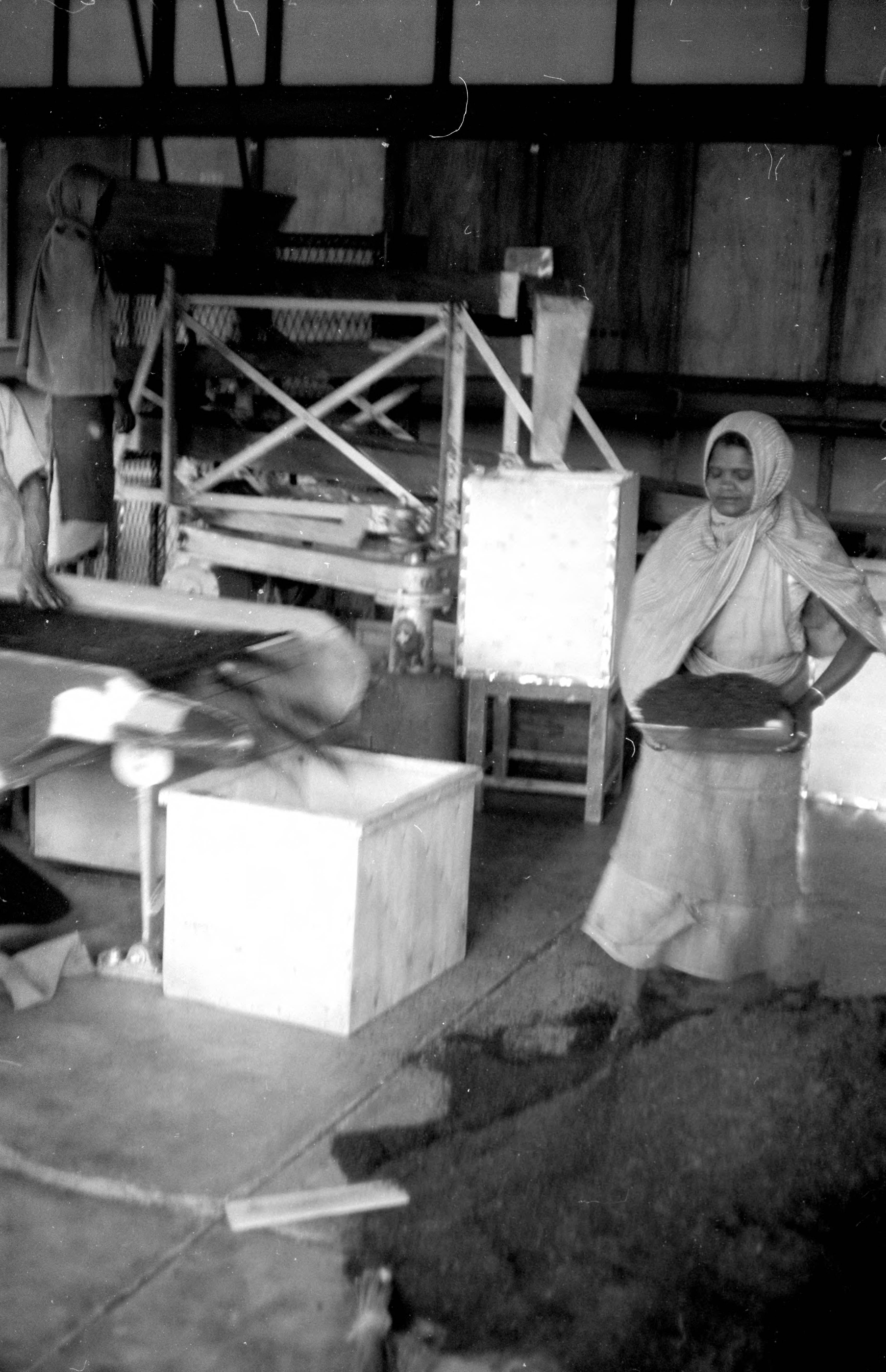 A woman wearing a head covering carries a pile of dried tea leaves away from a conveyor belt that is dropping the leaves into a bin.