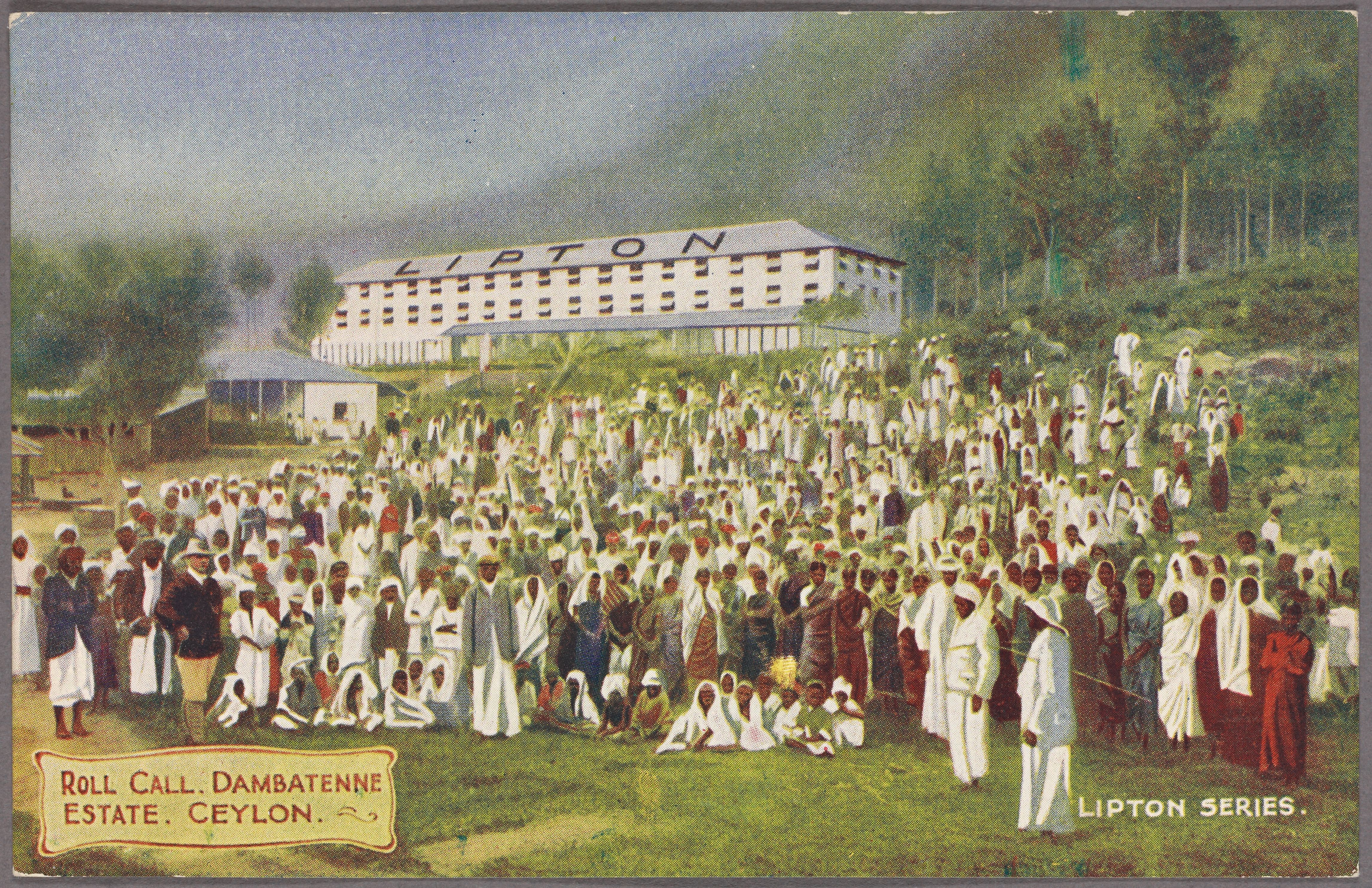 Postcard from the Lipton Series. Large building the background that says "LIPTON." Large crowd stands in front of it, many wearing white.