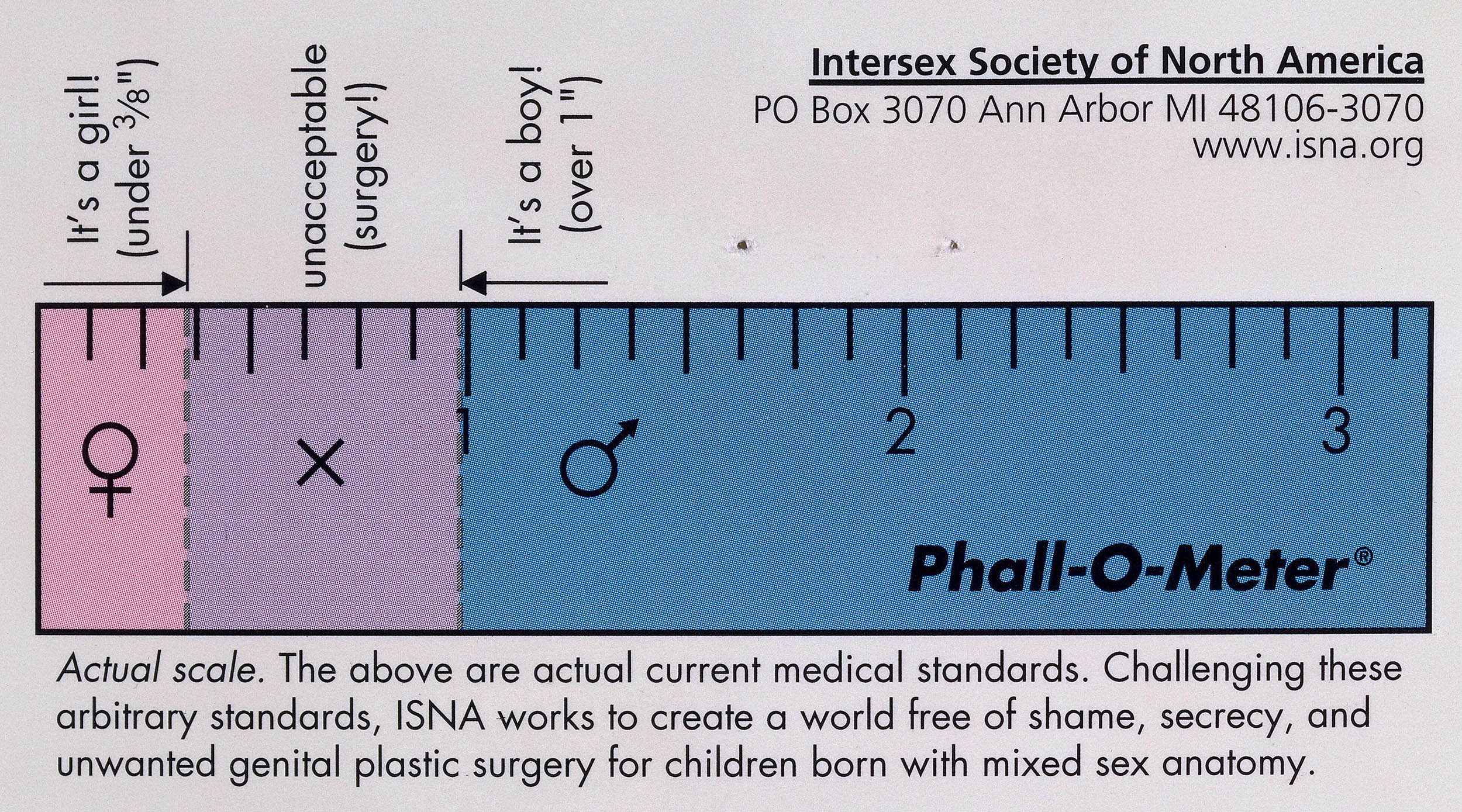 Satirical ruler critiquing the medical standards that determine whether an intersex child should be assigned male or female