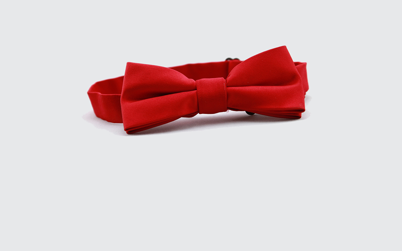 Red bow tie on white background