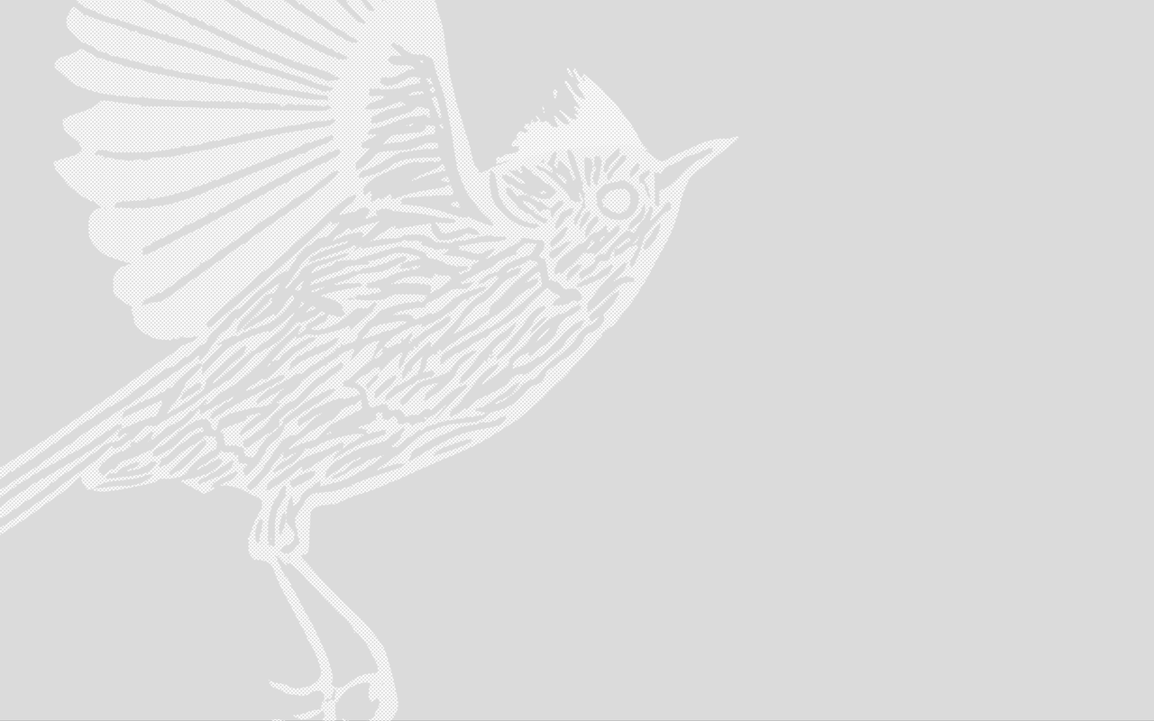 Mural of faces on concrete wall topped with barbed wire.