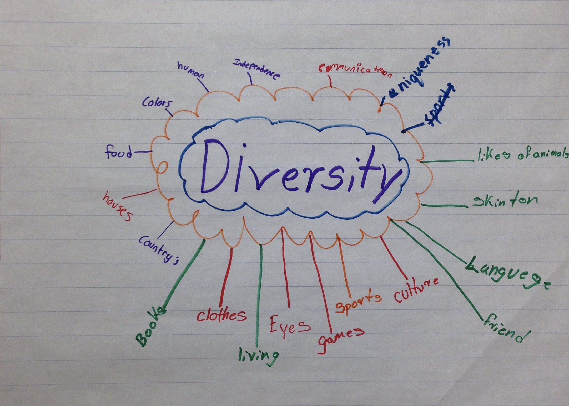 This graphic organizer, known as a word web, includes the term “diversity” in the center of a circle. Lines pointing outward indicate related ideas.