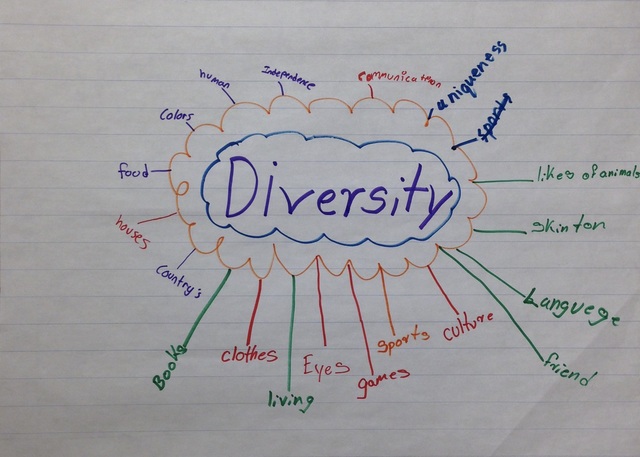 This graphic organizer, known as a word web, includes the term “diversity” in the center of a circle. Lines pointing outward indicate related ideas.
