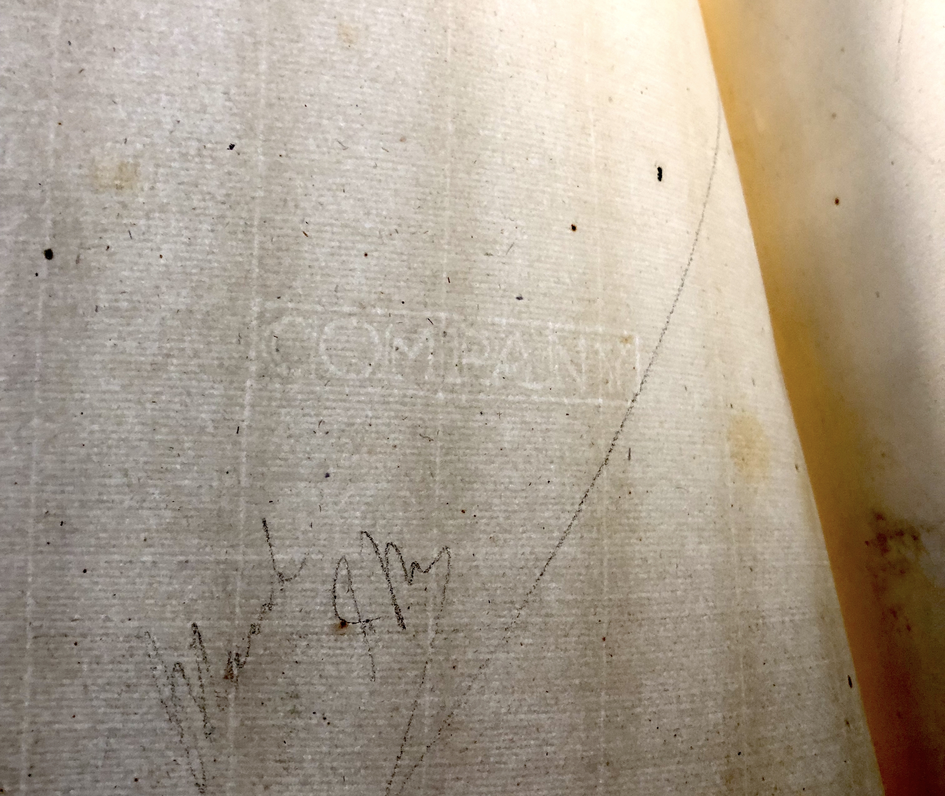 Photograph of "COMPANY" countermark in MS Harley 5949