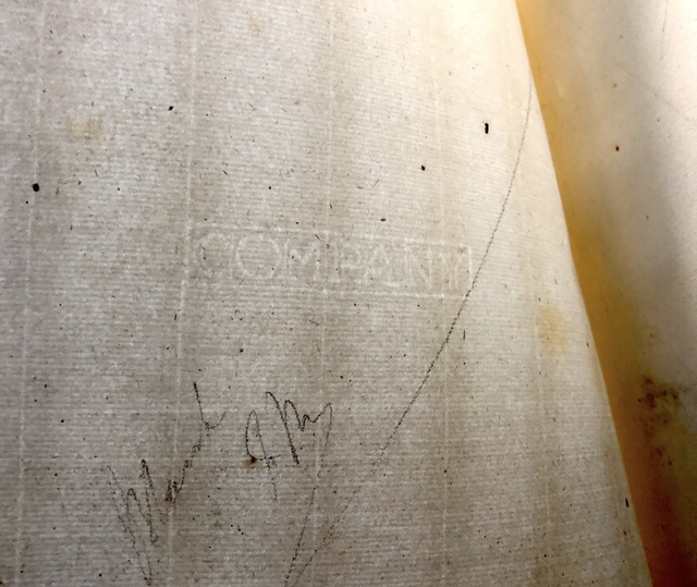 Photograph of "COMPANY" countermark in MS Harley 5949