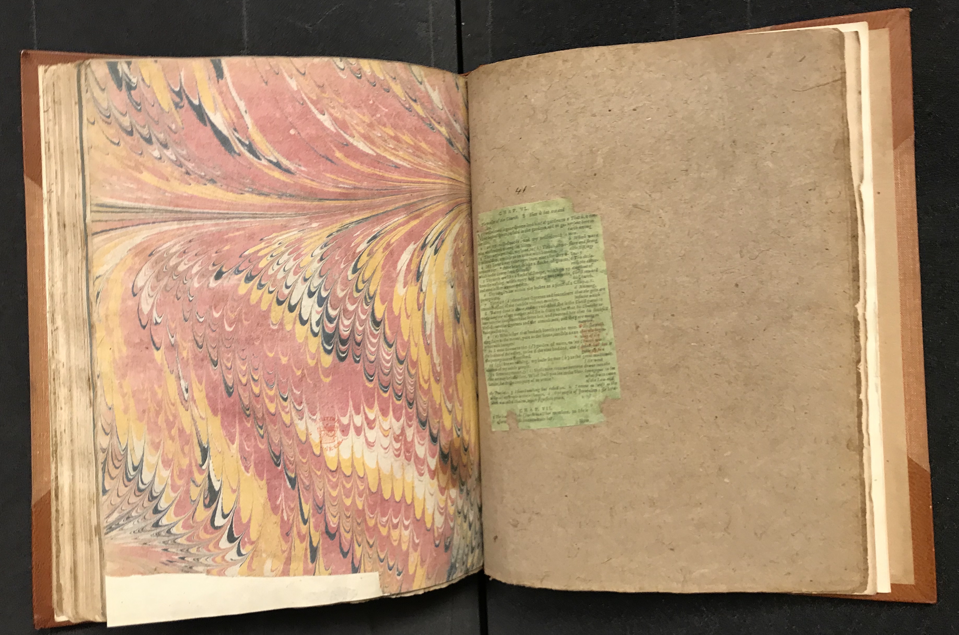 Photograph of marbled paper and a painted page pasted into a large volume of specimens