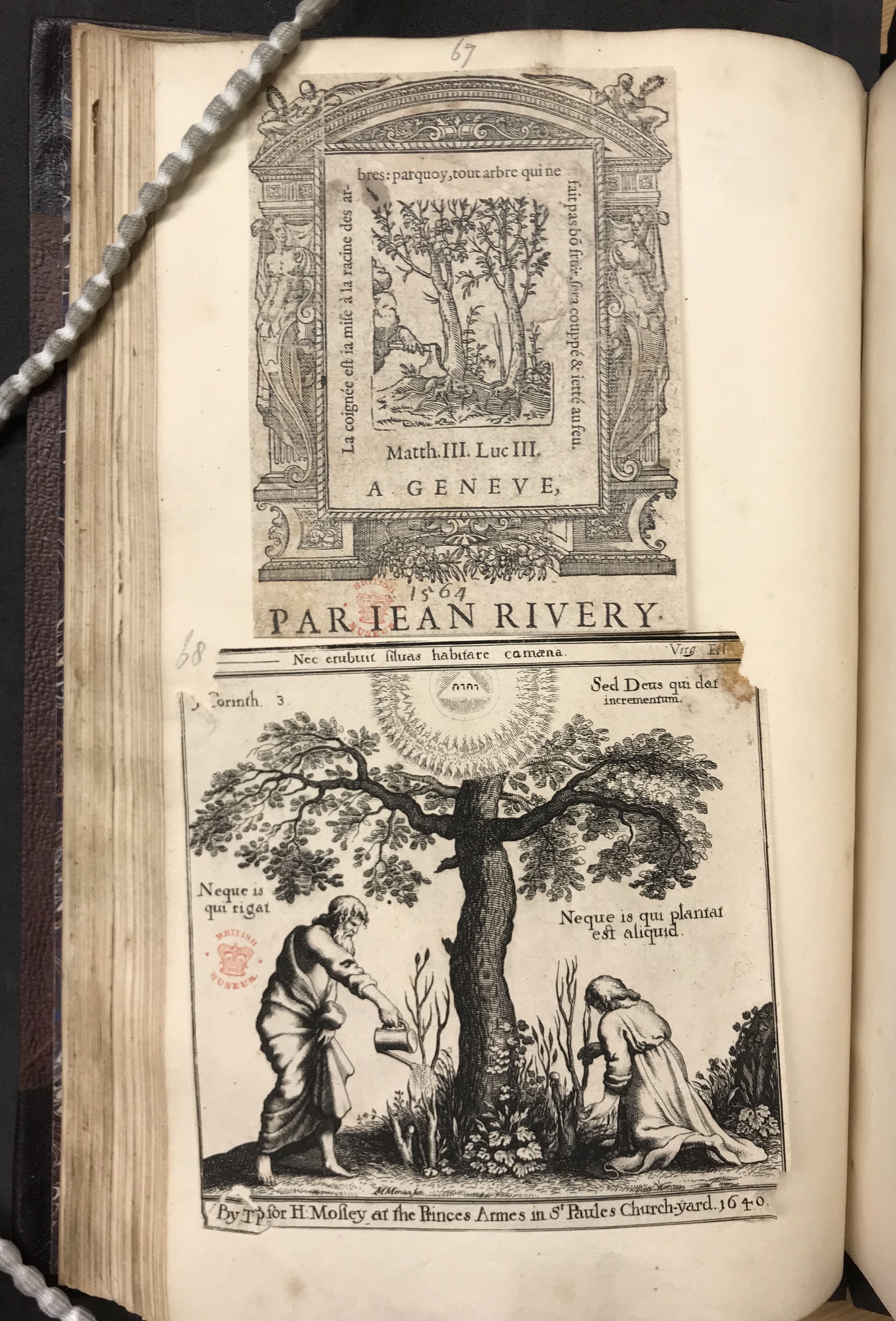 Photograph of printer's devices with trees pasted in one of John Bagford's albums of scraps