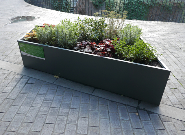 An above-ground planter positioned on a brick path, containing an array of different, short flora.