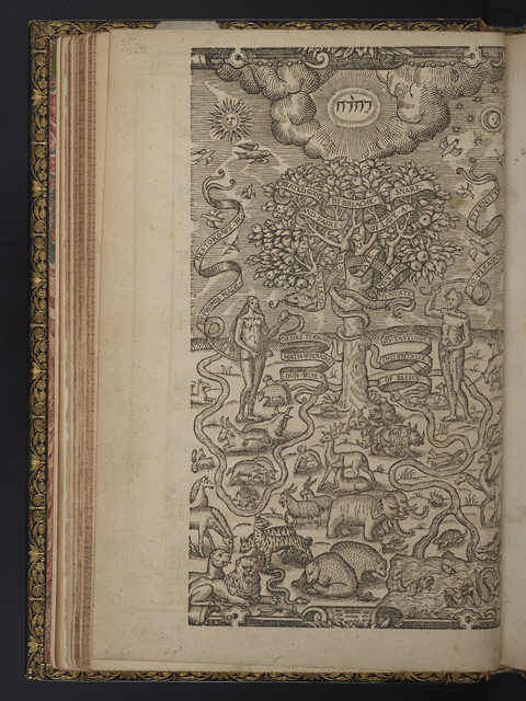 Photograph of a leaf inserted in *Theophila* (1652) with a woodcut of Adam and Eve.