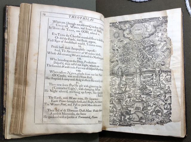 Photograph of a page opening in Benlowes’s gift copy of Theophila to St. John’s College Library.