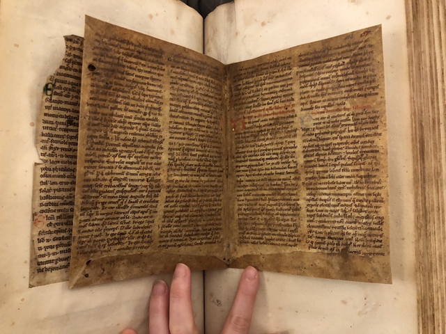 Photograph of medieval binding waste in one of John Bagford's albums of specimens