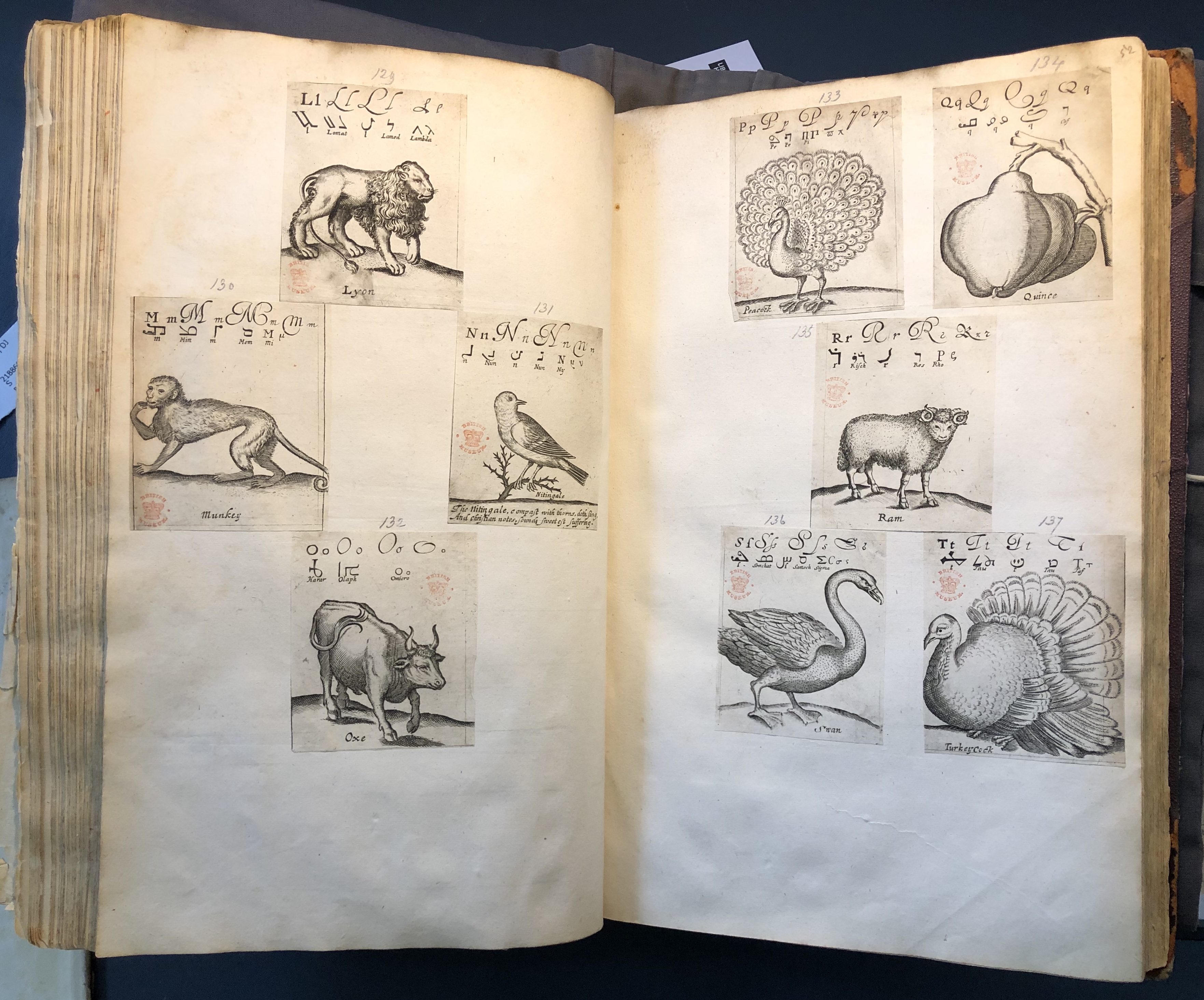 Photograph of pages from a hornbook pasted into an album assembled by John Bagford