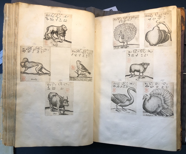 Photograph of pages from a hornbook pasted into an album assembled by John Bagford