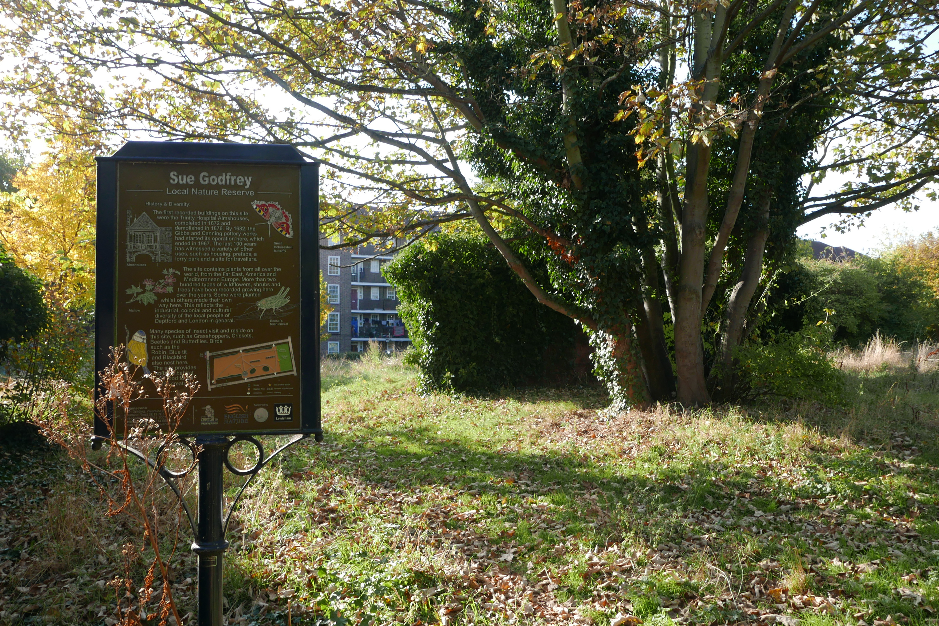 A placard reading “Sue Godfrey Local Nature Reserve” positioned in a green space beside a tree and green grass littered with fallen leaves.