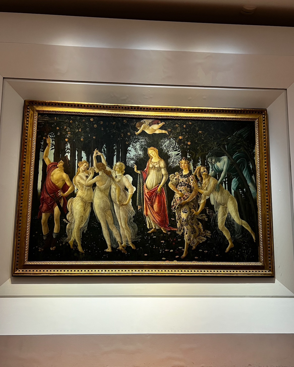 The nine figures in the painting have been studied over the years and identified as representing mythological figures, the main figure being Venus, Goddess of Love. The setting is an orange-grove, oranges being a symbol of the Medici family in Florence.