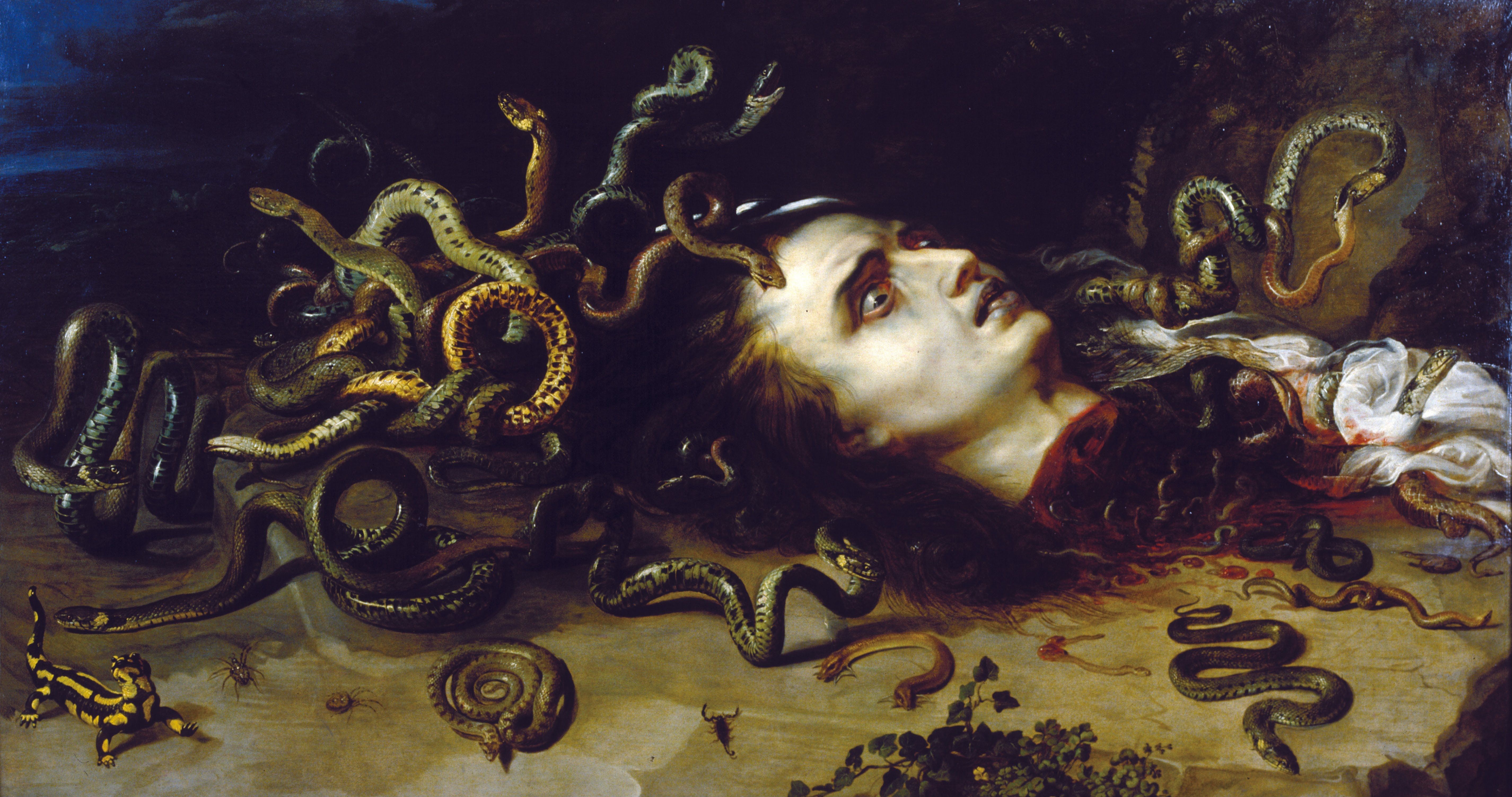 Severed head of Medusa laying on the ground with snakes and other reptiles around it, immersed in shadows