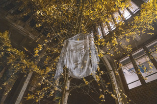 Cover of Waiting by Zeiva Fernandez