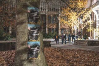 Cover of Introduction