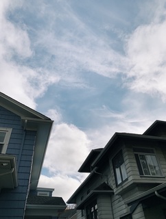 Cover of The Denial of Humans