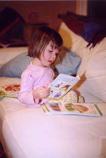 Cover of A Storyteller's Guide to the Anthropocene