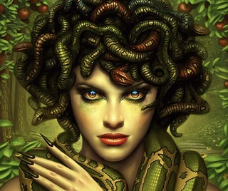 Cover of Medusa