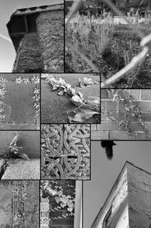 Corinne Ryan's collage titled Entangled Expanse.