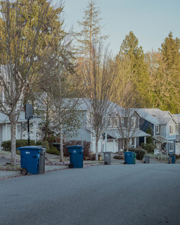 Cover of Morning Trash