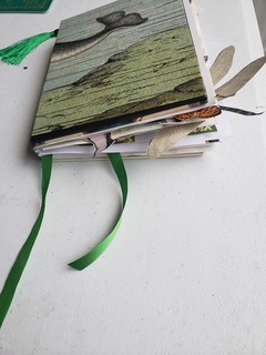 Cover of An Anthropocene Poem