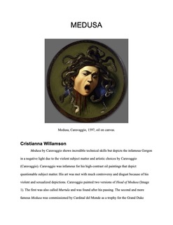 Cover of Medusa  Virtual Museum