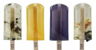 Cover of Art Transcending Words