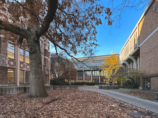 Cover of Location -- Why the courtyard?