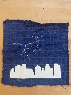 Cover of Non-Human Animal Life