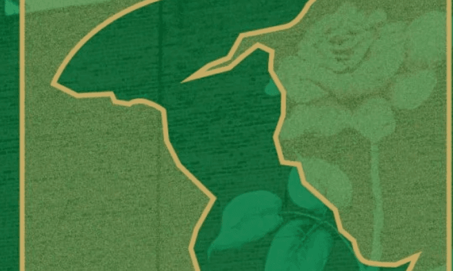 Albany Warehouse District Clean-Up