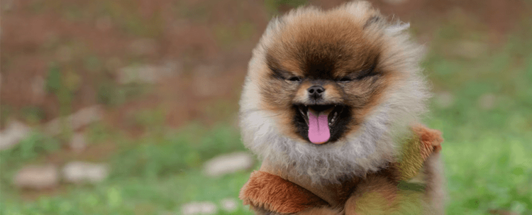 Students remember how you make them feel 