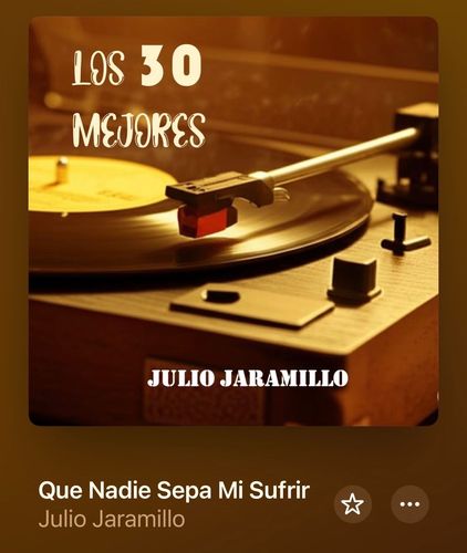 Que nadie sepa mi sufrir