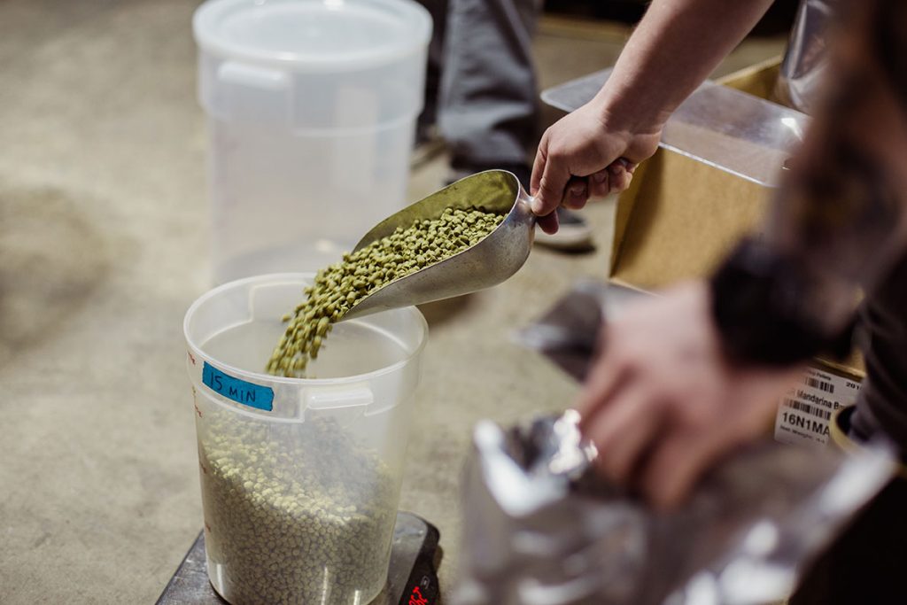 Ska Brewing & Ratio Beerworks Collab Fest Brew Day - Aperture of Ales by Holly Gerard