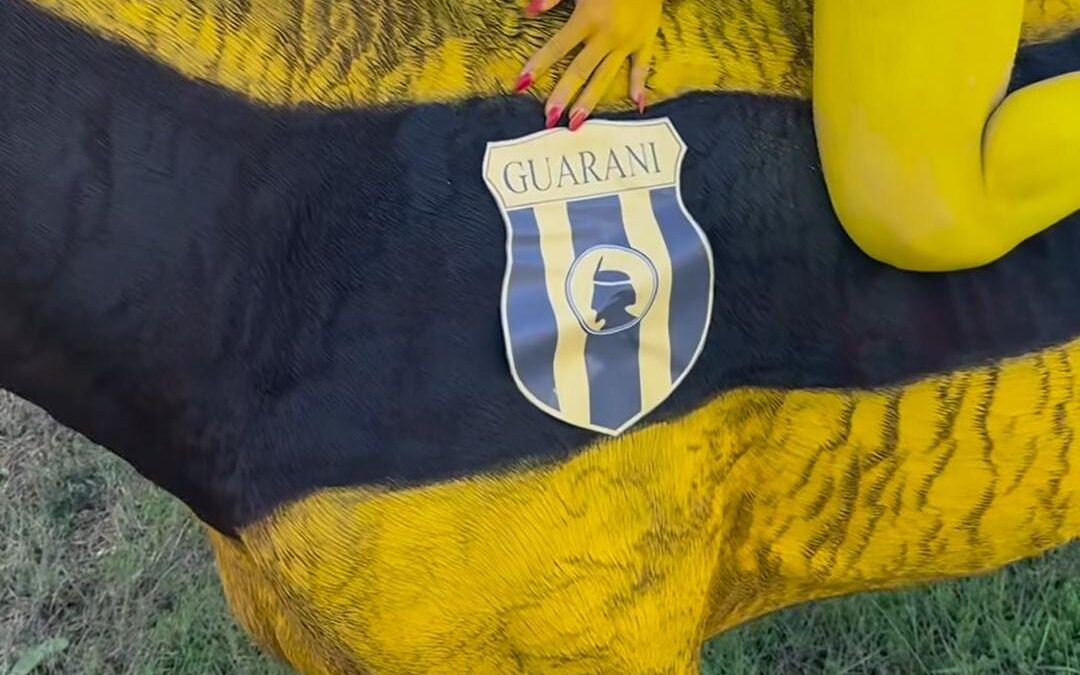 Defensa Animal investigará a modelo por haber pintado un caballo