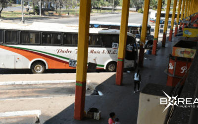 Operativo Mundial de Rally: reforzarán la cantidad de buses hacia Itapúa 