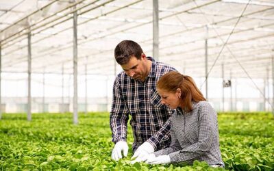 Ingenieros agrónomos celebran su día con cifras que marcan el desarrollo nacional